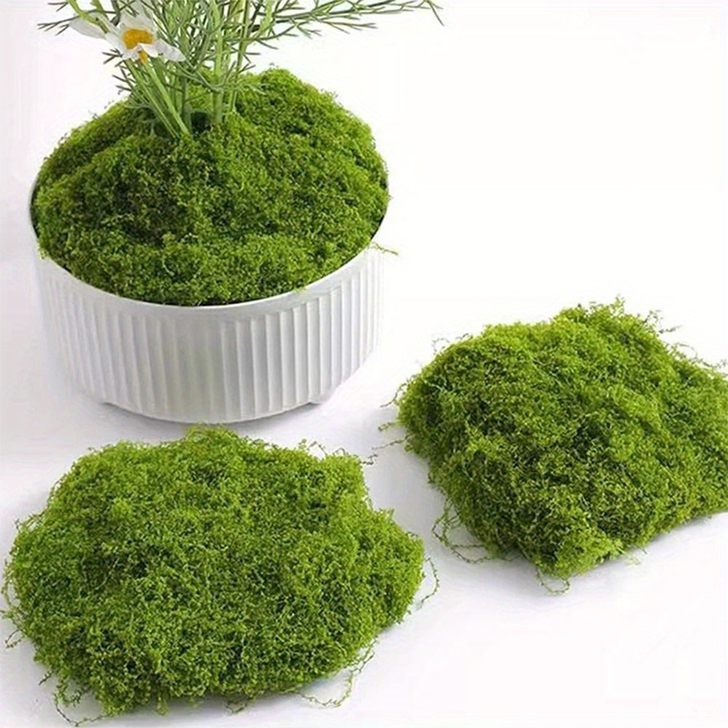 Sphagnum Moss Dry - Rumput Palsu Hijau DIY Kerajinan Tangan
