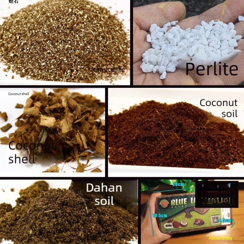 Bata Tanah Kelapa Substrat Rep - Sphagnum Moss Dry ulasan dan harga