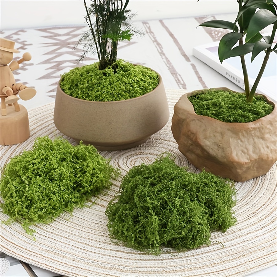 1 Pak lumut palsu buatan, 1.05 - Sphagnum Moss Dry ulasan dan harga