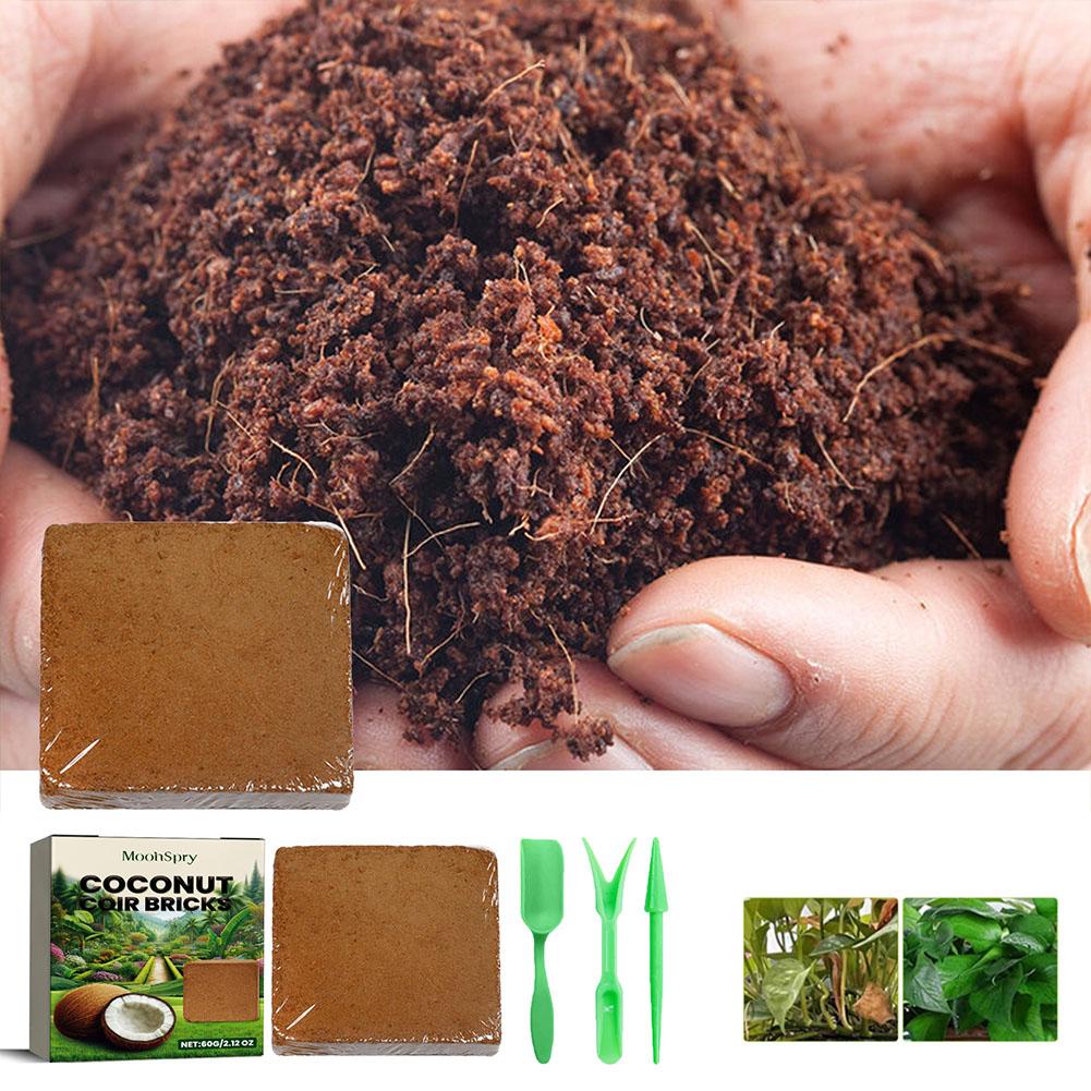 Batu Bata Serat Sabut Kelapa - - Sphagnum Moss Dry ulasan dan harga