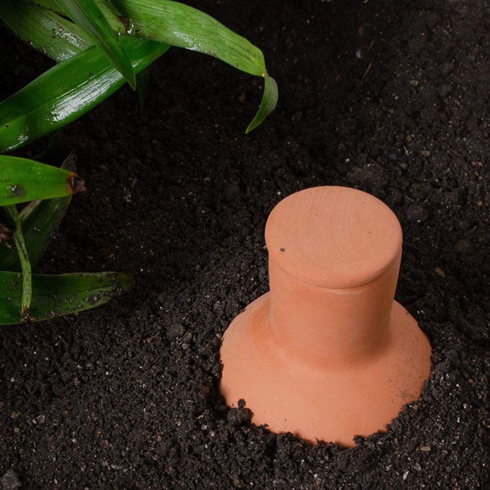 4 Buah Alat Penyiram Otomatis  - Self Watering Insert ulasan dan harga